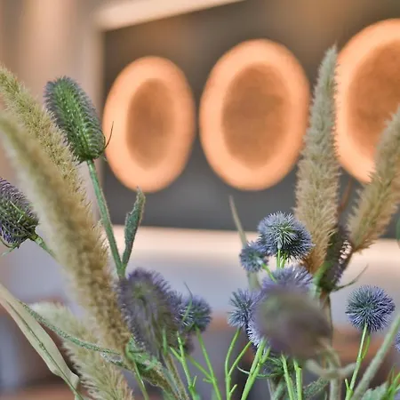 Lägenhet Ankerplatz, Charlotte *